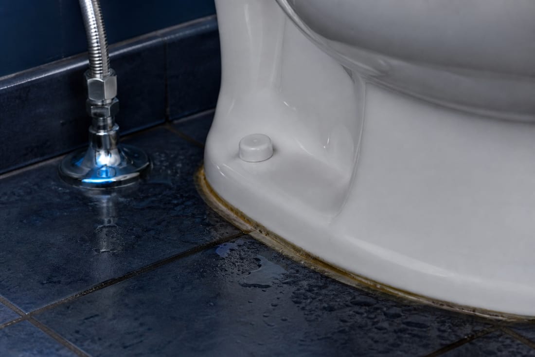 Exemple : joint d'assise de WC